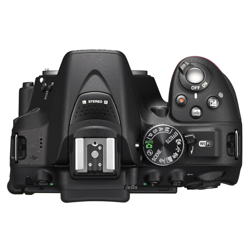 尼康（Nikon） D5300 入門單反數(shù)碼照相機(機身)_http://bzsa.cn/img/images/C201902/1551162975369.jpg
