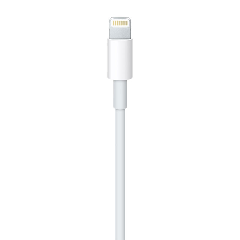 蘋果（Apple）Lightning/閃電轉(zhuǎn) USB 連接線 (1 米)_http://bzsa.cn/img/images/C201906/1561532749758.jpg