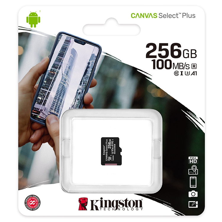 金士頓（Kingston）256GB A1 V30 U3 switch內存卡 讀速100MB/s 寫速85MB/s_http://bzsa.cn/img/images/C202103/1615967832148.jpg