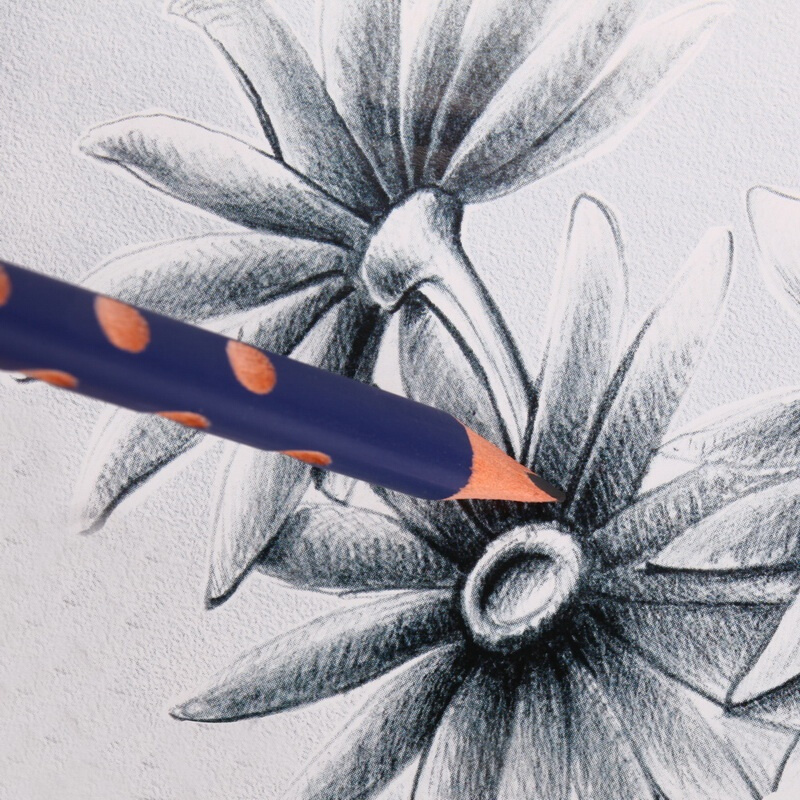 藝雅（LYRA） 1760112 三角洞洞書寫鉛筆12支裝 (2H) _http://bzsa.cn/img/sp/102/b0c4cc23-a216-4de9-bfe6-71373cdb0cab.jpg