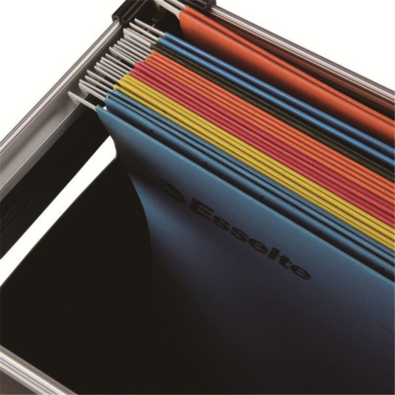 易達(dá)（Esselte） 21664 FC吊掛筐 掛勞架 吊夾框可容納40片掛勞 藍(lán)色_http://bzsa.cn/img/sp/123/0c4c231e-75fe-41b4-8b6b-9cd5f0d38307.jpg