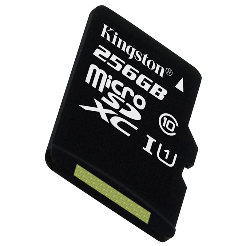 金士頓（Kingston） 內(nèi)存卡 高速行車記錄儀 TF(Micro SD) Class10 UHS-I 手機存儲卡（256GB）_http://bzsa.cn/img/sp/276/995ff218-89ff-43c3-80c2-5bbb9e5e09a6.jpg