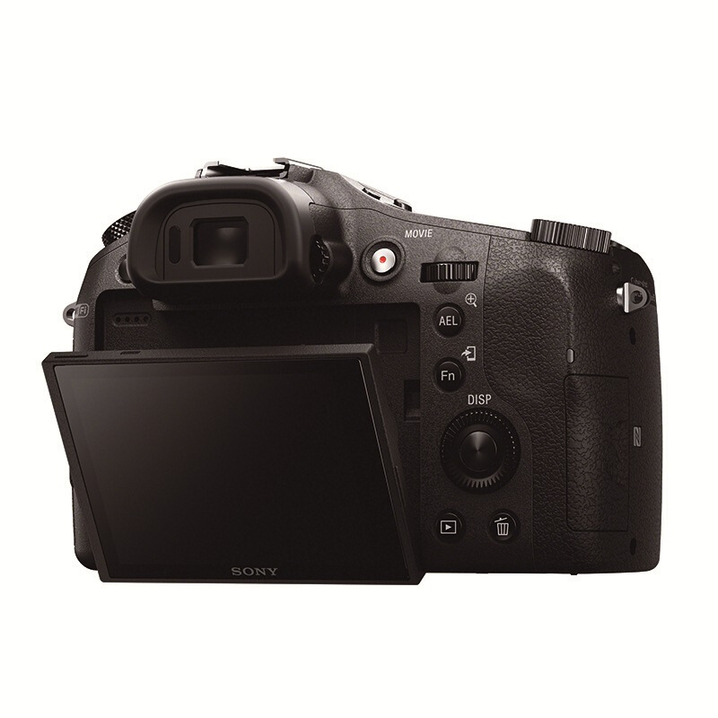 索尼（SONY） DSC-RX10 黑卡數(shù)碼相機(jī) 等效24-200mm F2.8 蔡司鏡頭（WIFI/NFC RX10M1）_http://bzsa.cn/img/sp/307/122daa0f-f634-4bd9-ba2f-124e3b6587a0.jpg