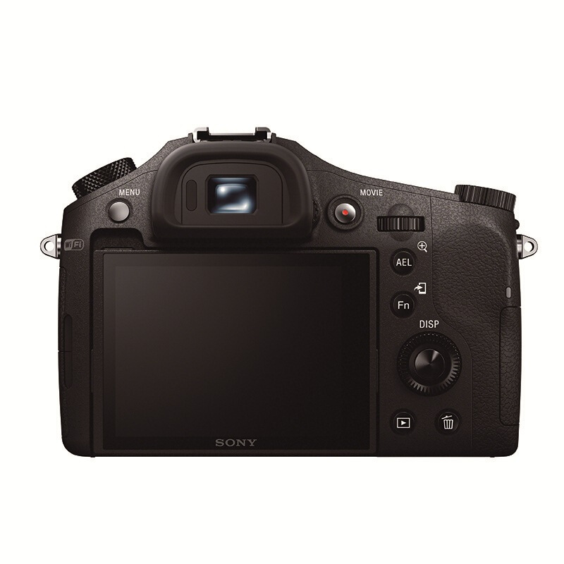 索尼（SONY） DSC-RX10 黑卡數(shù)碼相機(jī) 等效24-200mm F2.8 蔡司鏡頭（WIFI/NFC RX10M1）_http://bzsa.cn/img/sp/307/ed6f7730-f98f-45ee-887b-856d5f89a500.jpg