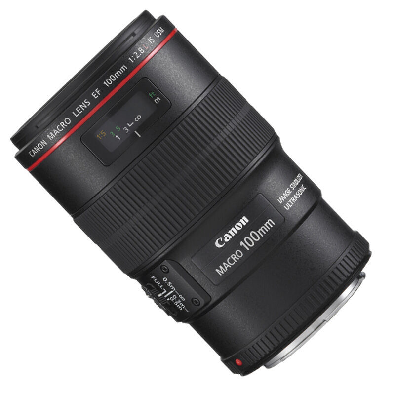 佳能（Canon） EF 100mm f/2.8L IS USM 微距鏡頭_http://bzsa.cn/img/sp/320/d461e49a-1ad3-4d1e-aa6d-69e5529be7aa.jpg