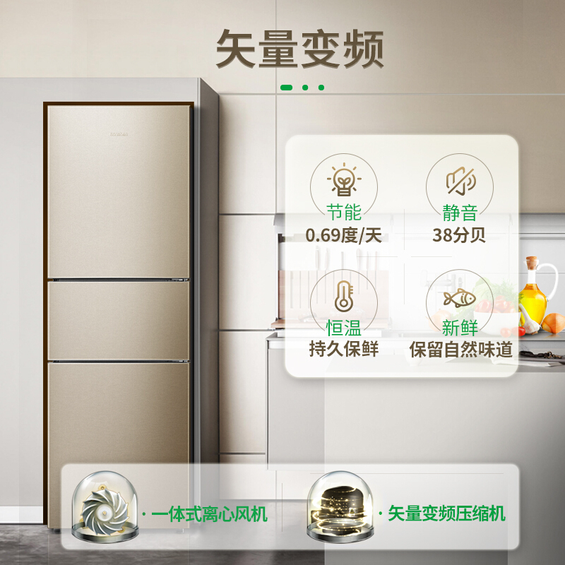 容聲(Ronshen) BCD-252WD11NPA 252升 三門冰箱_http://bzsa.cn/img/sp/331/22ddc659-9d72-4f39-96ce-a69f0f5140b6.jpg