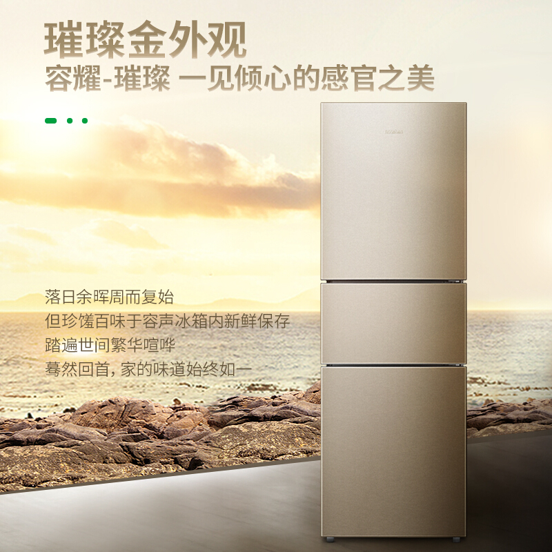 容聲(Ronshen) BCD-252WD11NPA 252升 三門冰箱_http://bzsa.cn/img/sp/331/eca77551-6cb8-4042-82e3-11dd9ab699ec.jpg