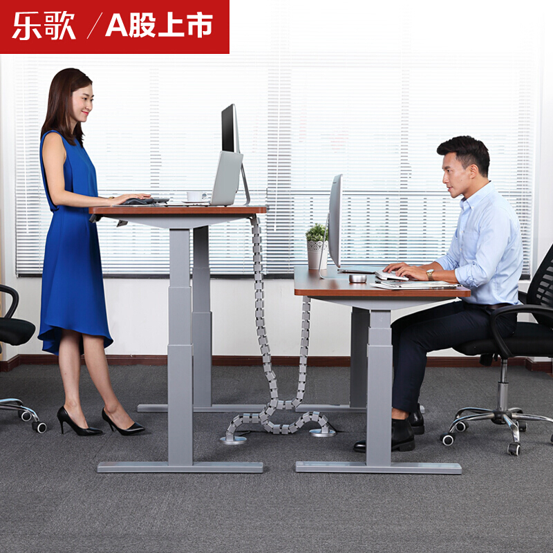 樂歌（Loctek） E3 呵護腰椎站立辦公電動升降桌/立柱3節(jié) (桌面尺寸1800*800mm) _http://bzsa.cn/img/sp/361/caa43af6-04d1-467d-8bc6-c4be0215c1e9.jpg