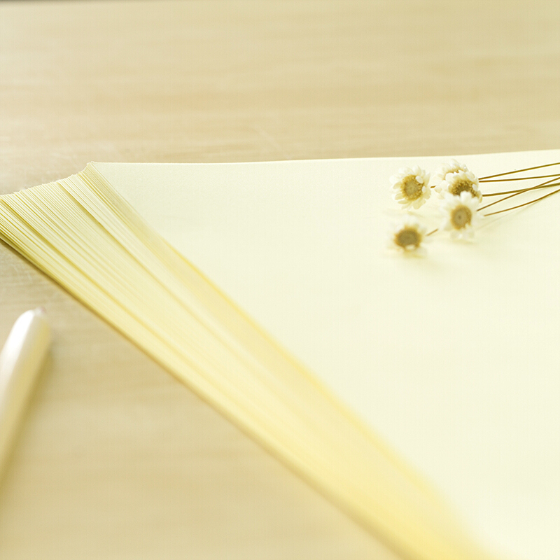 得力（deli） 7391 彩色復(fù)印紙 A4/80g 100張/包（淺黃）_http://bzsa.cn/img/sp/81/a3154df9-6b0c-4b62-b2a8-cbb01eaac7ef.jpg